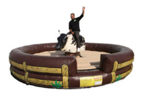 Mechanical Bull